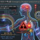 제2화 이미지