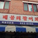 배불러활어회