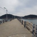 천리포선착장 이미지