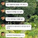 너만 생각해🐾