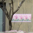 우연기획인쇄 | 마당잔치 : 셀프 생일 포스터 만들기