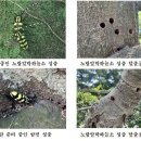 하늘소축산