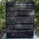 금강소나무생태경영림 Daum카페