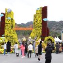 파티나인에이 이미지