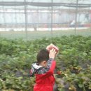 창현농장 이미지