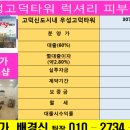 정관장고덕신도시