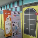 댕댕월드&퍼피 네이버블로그