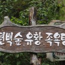 소리마을협동조합 네이버블로그