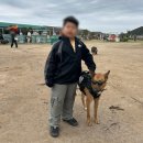 프렌즈독 | 제주 새별프렌즈에서 아이와 함께 특별한 하루 보내기