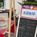 국시도령 수지비낭자 이미지