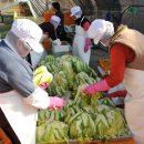 김한수농장 이미지