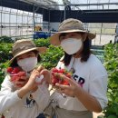 함안초등학교 이미지