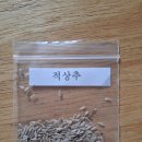 적상추 발송 이미지