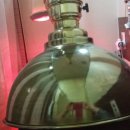 금해한의원 이미지