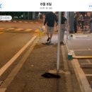 세미동물약국 | 후쿠오카에서 보내는 초여름 선물🍏💬