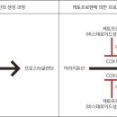 다산메디칼약국 이미지