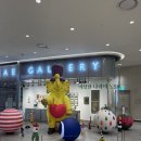 프랑소와펫 신세계대전점 | 대전 신세계백화점 &lt; 이상한 나라의 동물원 &gt; 전시 후기 (+프랑소와펫 위생미용)