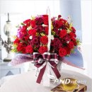 댕스라지 이미지