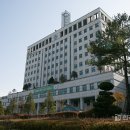 동화요리/글쓰기