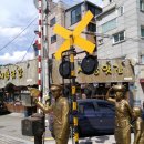 이유화과