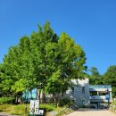 항동푸른도서관 이미지