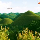 제주보홀 이미지