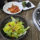 팔도낙지촌 이미지