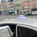 지에스25 대동단결점 | 성심당 롯데백화점 빵 추천 딸기시루 후기, 자르는 법 보관 방법