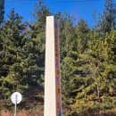 가보 | [내돈내산] 태안 삼선 짜장면 맛집 가보 후기