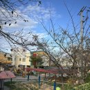 맘에든유치원 이미지