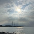 아름드리펜션 | 구좌읍 월정리 해수욕장 근처에 있는 가성비 좋은 오션뷰 숙소 아름드리 펜션 내돈내산 방문후기