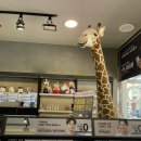 렌즈미 순천 연향점 네이버블로그