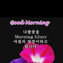 오늘도건강