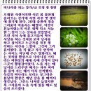 강가의 추억 이미지