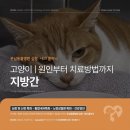 심동물병원