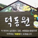 순천-28호 이미지