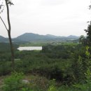 평리골 Daum카페