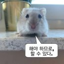 김전시장 화장실 | 2026, February