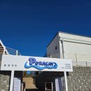 캠핑파크 | 포항에서 즐기는 프리미엄 캠프닉, 포라카이 캠핑파크 솔직후기🌴