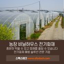 용구농장 이미지