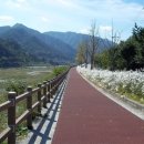 봉평고등학교 이미지