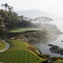 렉스그린(주) 이미지