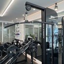 데이빗짐 이미지