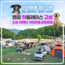 고성라벤더오토캠핑장 이미지