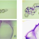 온아동물의료센터 이미지