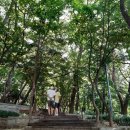 영화사 108계단 이미지