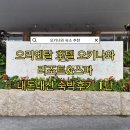 동인식품 | [오키나와] 오키나와 숙소 추천 오리엔탈 호텔 오키나와 리조트&amp;스파 숙박후기 1탄 객실 리뷰