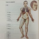 율신 | 자율신경계 | 잠이 안와요, 몸이 항상 긴장되어있어요 - 해결법