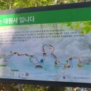 밤머리재홍단풍거리 이미지