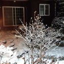 정선 둥지펜션 이미지